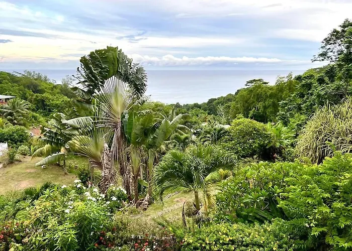 Hilltop South - Bougainville * Takamaka