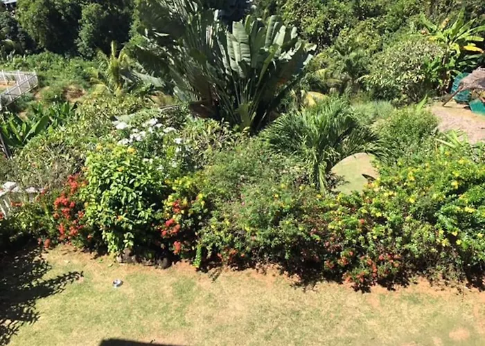 Villa Hilltop South - Bougainville *