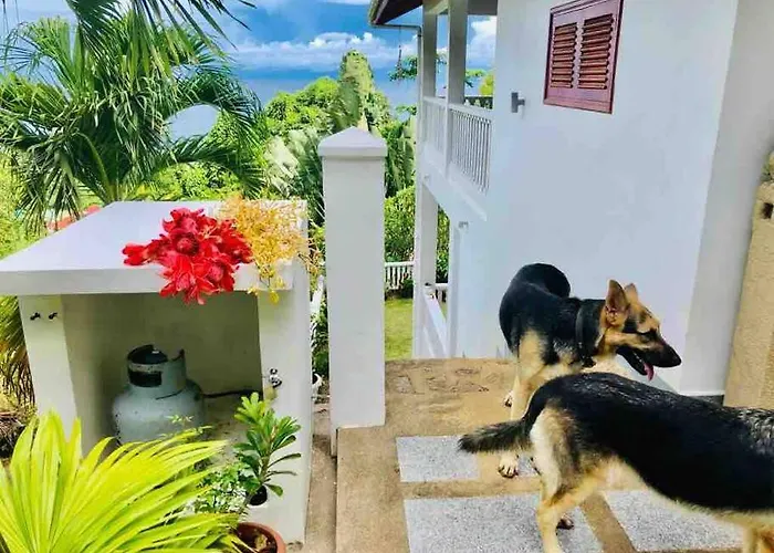 Hilltop South - Bougainville Villa Takamaka